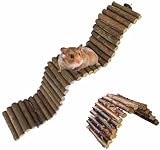 Rat Bendy Long Suspension Bridges,Hamster Bridge Wooden Ladder Bendable Flexible Tunnel Natural Climbing Ladder Chews Toys for Rodents Mouse Hedgehog Dwarf Hamster Chinchilla（2 Pcs）