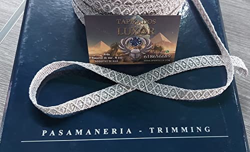 AGREMAN para TAPIZADOS - PASAMANERIA/GALÓN DUERO DE RAYÓN/Ideal para decorar cortinas, sillas y sillones (341/Gris Plata Clarito, 5 Metros)