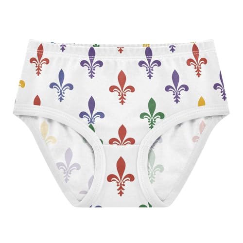Toddler Girls Underwear 2t Cotton Little Girl Panties Fun Print Undies Kids Briefs Fleur De Lis Mardi Gras