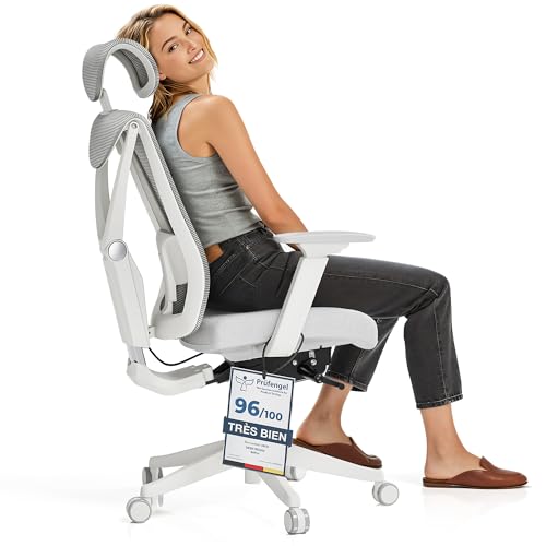 Desktronic Chaise de Bureau Ergonomique réglable avec Support Lombaire - Aucune Douleur au Dos - D'ordinateur réglable en Hauteur et protégeant Le Dos - Gris
