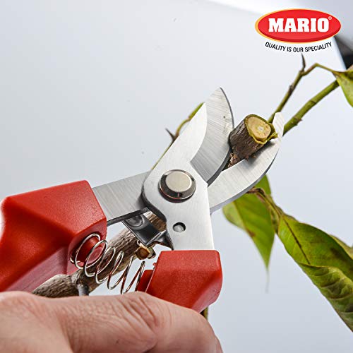 Image of Mario Scissors for Gardening /Purnning Work - 8.4 inch / 214 mm - Strong Cutting Scissors, Safe to Handel - Premium Stainless Steel Blade Scissors - MGS 702