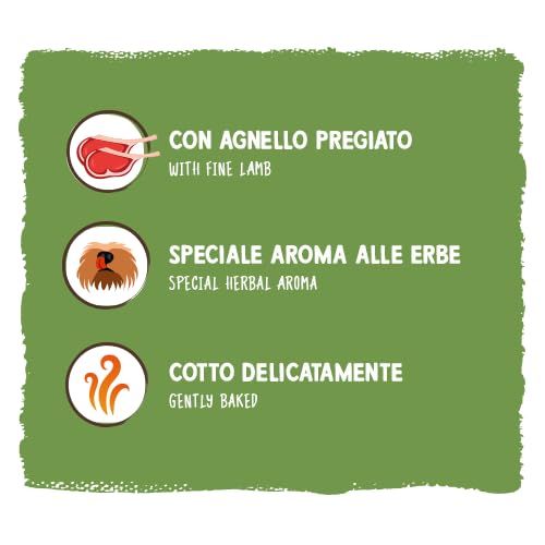 Sammy´s Kräuterknochen | Schonend gebackene Hundesnacks | Mit feinem Lamm, Fenchel & Löwenzahn | Besonderes Kräuter-Aroma | ohne Zuckerzusatz | 1x 1 kg