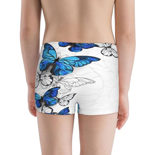 Boys' Cotton Boxer Brief Soft Underwear-Blue Flying Butterflies3