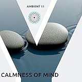  Astral Insignia (Original Mix)