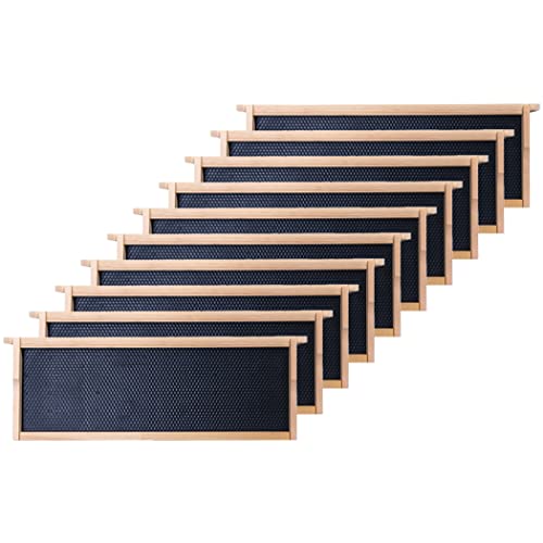 Honey Lake Medium Beehive Frames and Foudations Kit 10 Pack Super Bee Frames with Beeswax Coated Food Grade Plastic Foundations for Beekeeping (Black)