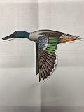 Casey Underwood Northern Shoveler Decal Sticker