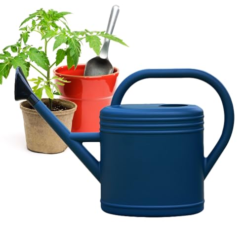 Regadera con caño largo, regadera de 5 l para interior para plantas en el jardín, regadera de plantas, regadera pequeña para plantas de interior, flores de jardín, jarra de agua grande para Bew