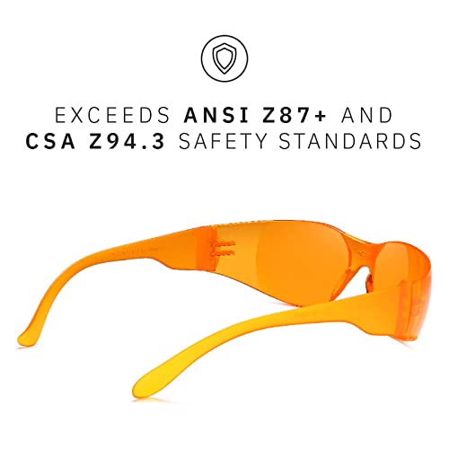 Gamma Ray Full Lens Magnification Reading Safety Glasses Readers