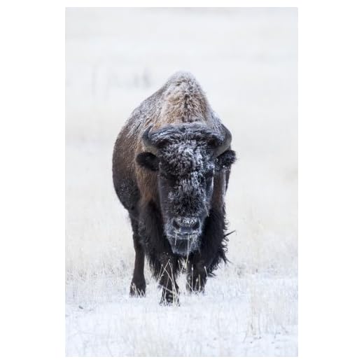 Tamron 150-600mm Telephoto Zoom Lens