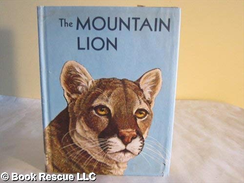 The Mountain Lion.