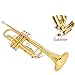 Aurosus bb trumpet 6331 brass b flat trumpet for beginners and intermediate players copper leadpipe gold lacquer finish stainless steel valves phosphorus hard case and accessories included