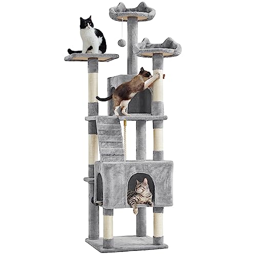 Petco Cat Tree The 15 best products compared Wild Explained