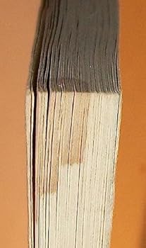 Paperback FAR ABOVE RUBIES Meditations for the Minister's Wife Book