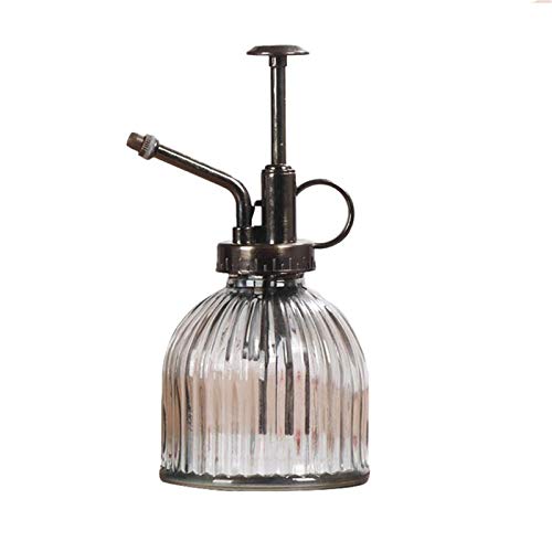 Eidoct Vaporisateur de plantes en verre - 16,5 cm de haut - Style vintage - Pompe supérieure en plastique bronze - Pour arroser les plantes - Outil de jardinage (Blanc)
