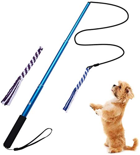 AMYESE Interactive Dog Toys - Extendable Flirt Pole with 2pcs Braided Rope Tugs for Dog Outdoor Entertainment, Train and Exercise, Blue, Size L