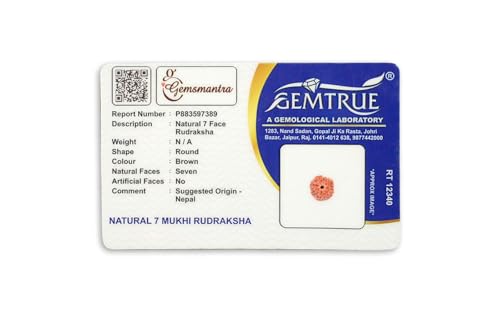 Image of Gemsmantra Energized 7 Mukhi Rudraksha Bead with 92.5 Sterling Silver Pendant, Original Nepali Lab Certified, Natural Spiritual Jewelry for Men and Women (Medium Size)