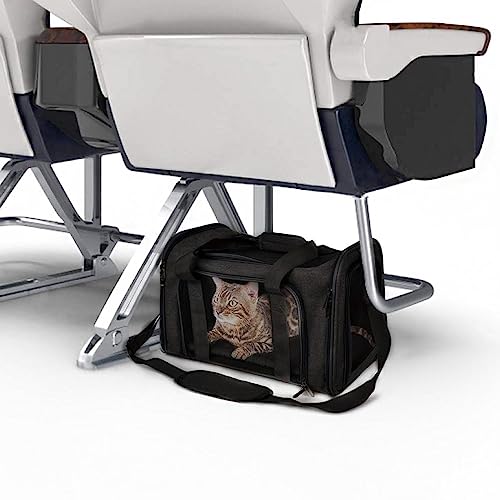 Bolsa Transporte Pet Transversal Cachorro Gato Viagem Passeio Cão Caixa Telado (Preto)