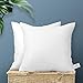 Artscope Lot de 2 Oreillers Inserts d'oreiller Intérieurs Oreiller Coussin Décoratif de Luxe Ensemble d'oreillers de Qualité Supérieure pour Chambre à Coucher Salon Lit Canapé Extérieur (50 x 50 cm)