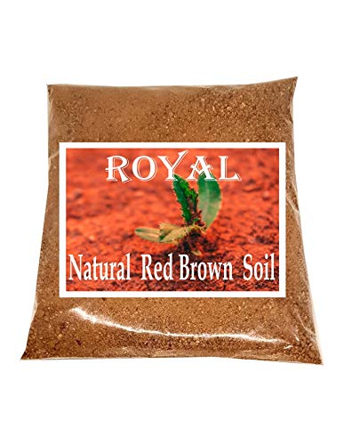 ROYAL Natural Red Brown Potting Mix Sandy Soil for Indoor and Outdoor Garden Plants (10 nos)
