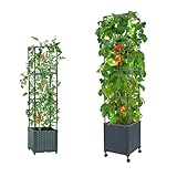 LINEX Tomato Planter