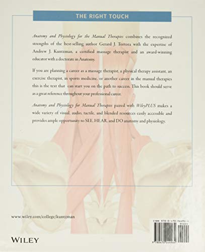 Anatomy and Physiology for the Manual Therapies - Image 2