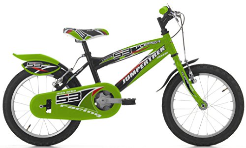 Cicli Cinzia Bicicletta 16' MTB Flipper per Bimbo, Senza Cambio, V-Brake Alluminio, con Parafango Nero/Verde