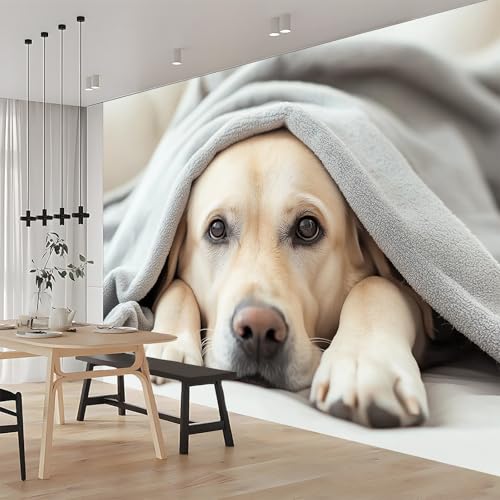 Papier Peint Labrador 3D Masquage Défauts Mur Salon 140cm - 3
