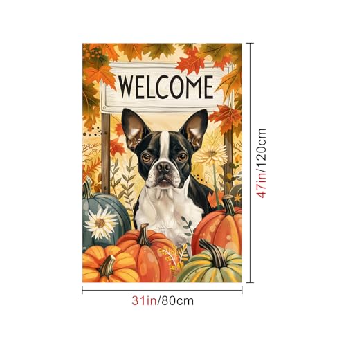 Vinilo Decorativo Otoño Boston Terrier 31x47 pulg miniatura 5