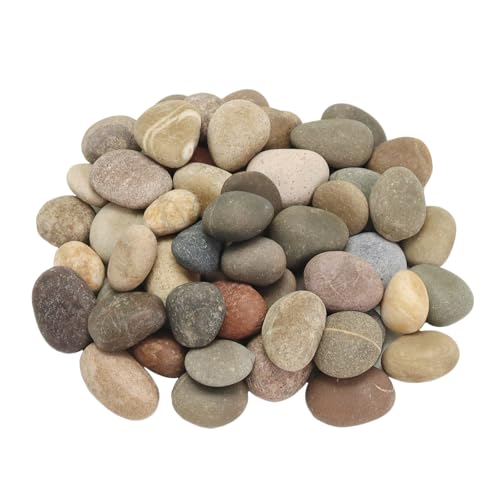 Lechloris 10LB Mixed Stones Pebbles River Rocks, Natural Beach Pebbles,
