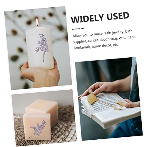 48 hojas secas prensadas para manualidades DIY miniatura 4