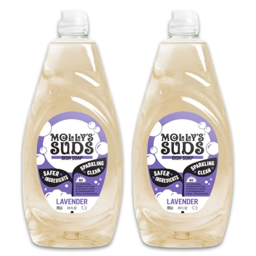 Molly's Suds Liquid Dish Soap | Clean, Simple...