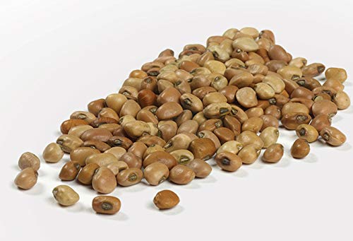 Miniatura 3 de Camellias Crowder, guisantes, 16 onzas