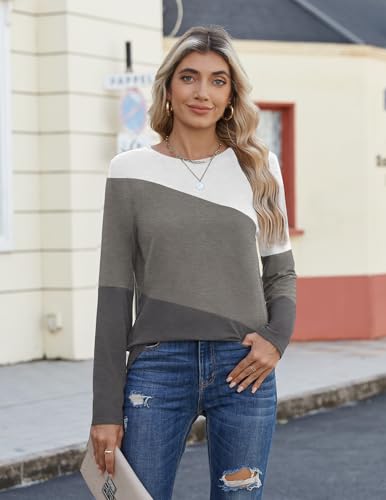 Zeagoo Women's Color Block Tops Long Sleeve Fall Tunic Top Casual Round Neck Pullover Shirts Dressy Work Outfit 20252