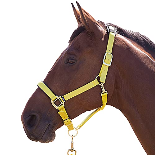 Shires, capezza della linea Topaz, in nylon (387), Yellow, Full