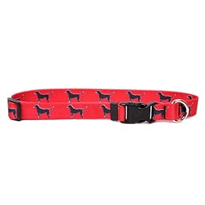 Yellow Dog Design Black Lab Dog Collar Fits Neck 14 to 20″/4″ Wide, Medium 3/4″ Wide