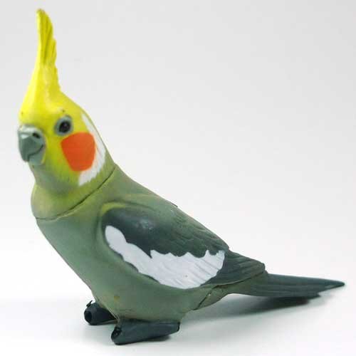 Amazon | 食玩 チョコQ ペット動物 第3弾 77 オカメインコ ノーマル 通販