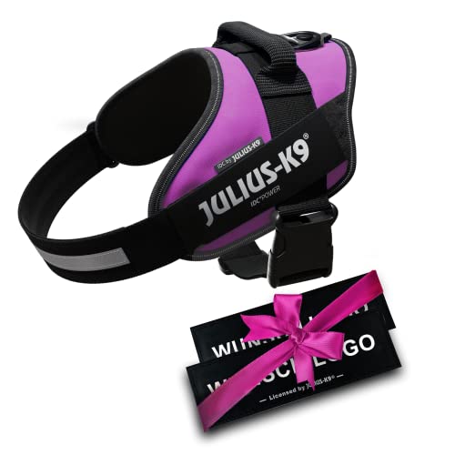 JULIUS K-9 IDC Powergeschirre Dunkelpink mit individuelle Klettaufschriften Bundle optionale Größe, 16IDC+CUSTOMP-DPN, Kleine, mittelgroße, und große Hunde