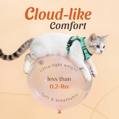 Image of Dooradar Cat Harness and Leash Set, Escape Proof Safe Adjustable Kitten Vest Harnesses for Walking, Easy Control Soft Breathable Mesh Jacket with Reflective Strips for Cats, Green, XS