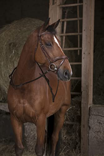 EKKIA (Ekia) 3338025592284 Reitausrüstung NORT.PRO Hunting Web Zügel HAV 305621018