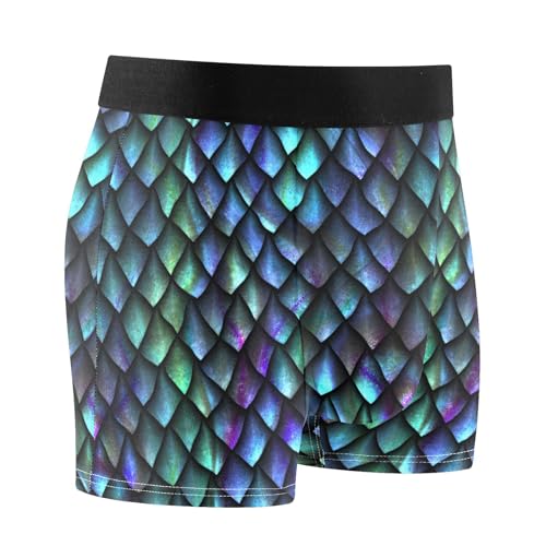 Men's Underwear Dragon Scale Boxer Briefs Soft Comfort Short Leg Trunks S-XXL2