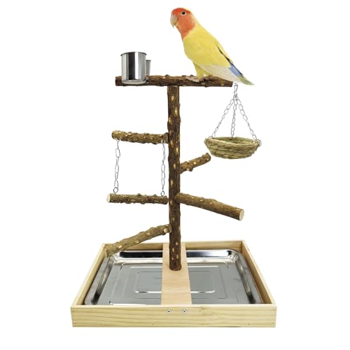 Tfwadmx Bird Perch Natural Wood Stand Toy Parrot Play Stand Platform and Hanging Bird Nests Bird Cage with Removable Tray and 2 Stainless Steel Cups for Parakeets Canaries Cockatiels Conure Lovebirds