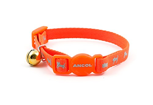 Ancol Haute visibilité de sécurité Collier pour Chaton, Orange Fluo