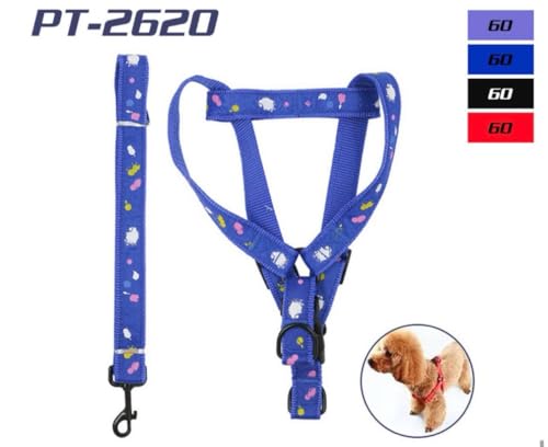 Coleira, Peitoral e Guia para Cães de Porte Pequeno