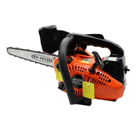 MOTOSEGA A SCOPPIO 25 CC POTATURA ALBERI BARRA 25 CM CARVING LEGGERA AD UNA MANO