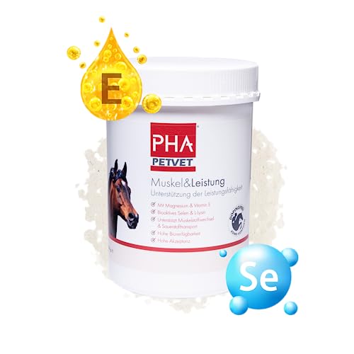 EMMA Pferd Aufbaufutter + Amino Booster – 6 Kg, Mit Sojaprotein, Vitaminen & Aminosäuren Für Muskelaufbau & Vitalität
