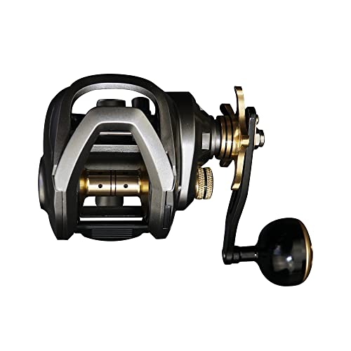 Best Swimbait Reel of 2022 (Incl. AFFORDABLE Models!)