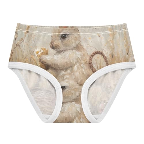 Girls Underwear, Vintage Rabbit Flower Toddler Girl Briefs, Cotton Underwear Girls, 2T–8 Years