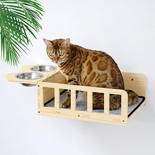 10 Best Cat Wall Feeder