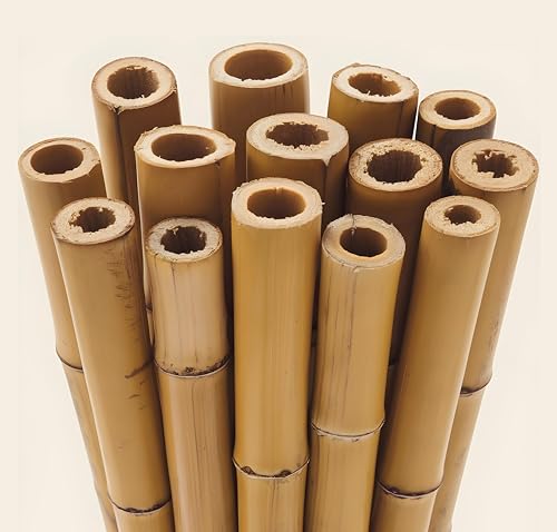 Gardens 2Ft,3Ft,4Ft,5Ft,6Ft,7Ft,8FT,10Ft Strong Heavy Duty Professional Bamboo Plant Support Garden Canes (50, 2ft, 12-14 mm)
