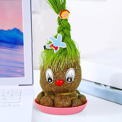 Pequeño paisaje con plantas para decorar el aula escolar 8